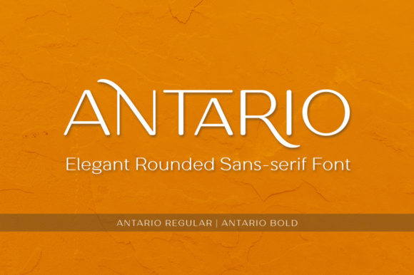 Antario: The Clean Sans Serif Font for Consistent Small Business Branding