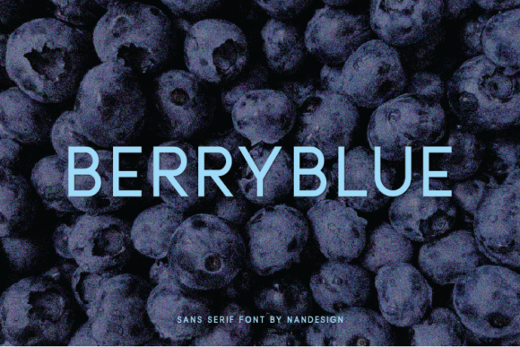 Berryblue: The Versatile Sans Serif Font for Crafters and Sellers