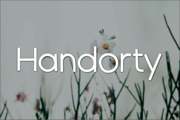 Handorty: The Sans Serif Typeface That Elevates Campaign Clarity