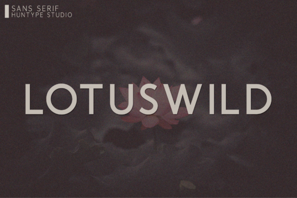 Lotuswild: A Versatile Sans Serif for Polished Brand Identity