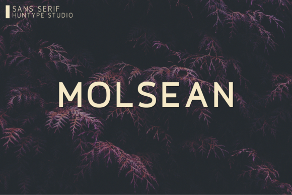 Molsean: The Modern Sans Serif for Editorial Clarity