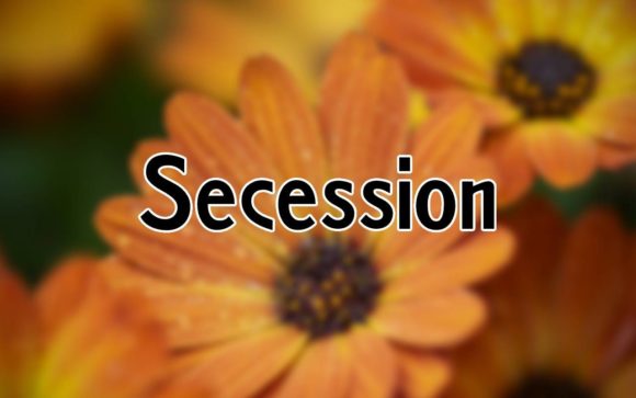 Secession Typeface Review: A Playful Sans Serif for Modern Branding
