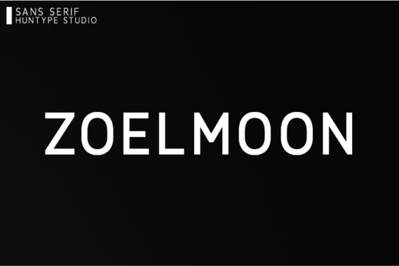 Zoelmoon: A Designer’s Honest Review for Real Projects